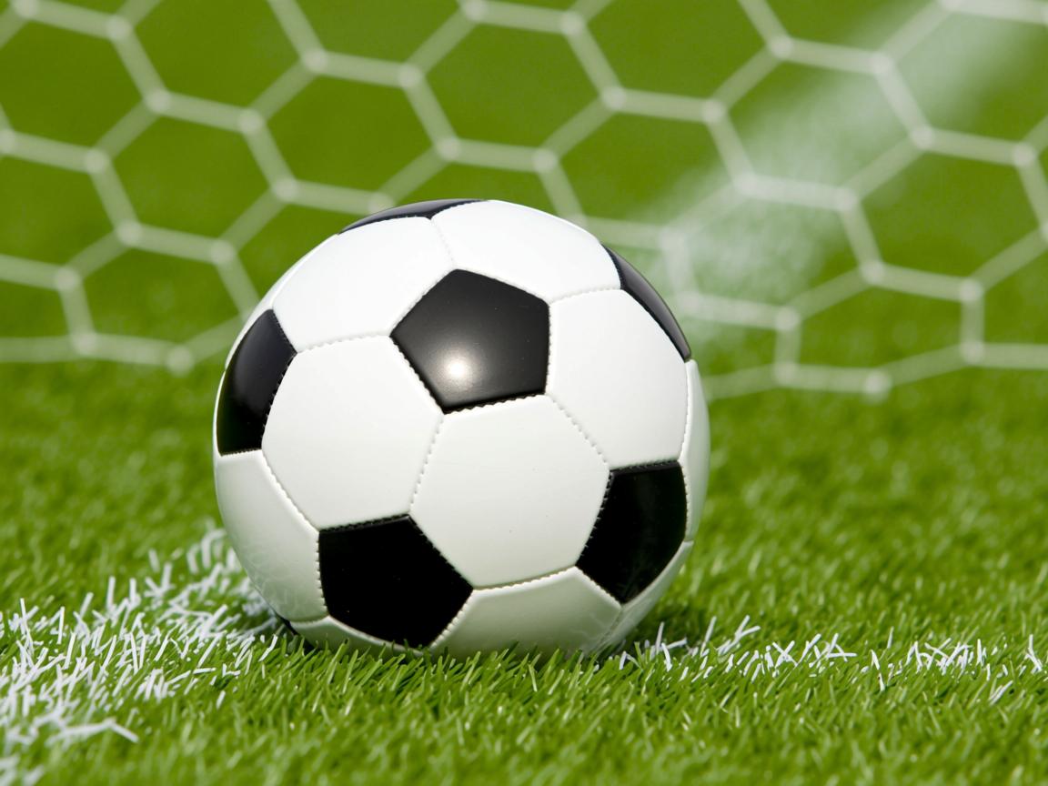 开云在线登入-Chinese Taipei团队未来规划:追求卓越的下一步,chinese of taipei 第2张