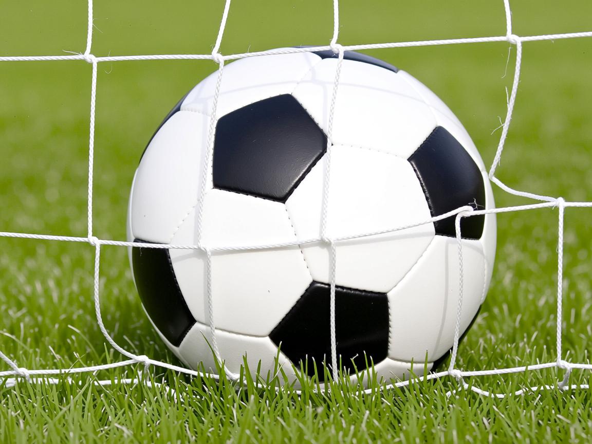 开云体育登录入口-Chinese Taipei团队:未来发展中的跨领域创新,taipei of china 第3张